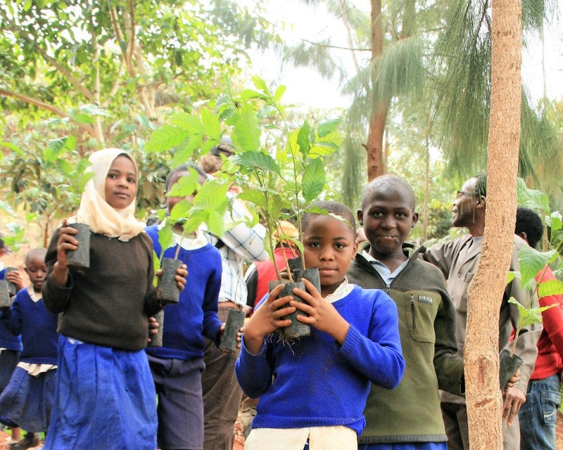 Earth with Heart Tree, We Plant 10 More Trees