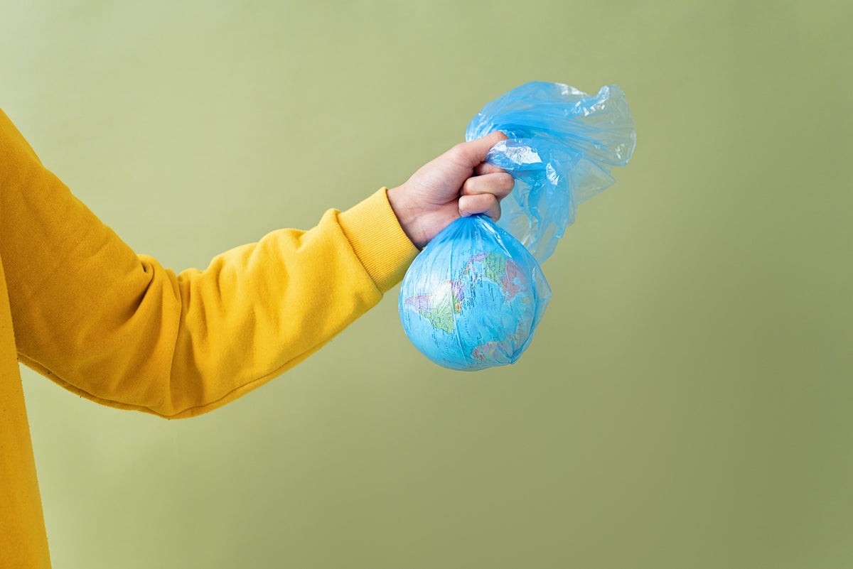 Packing Without Plactic Can We Live Without Plastic in 2024? – SWOP - Shop Without Plastic