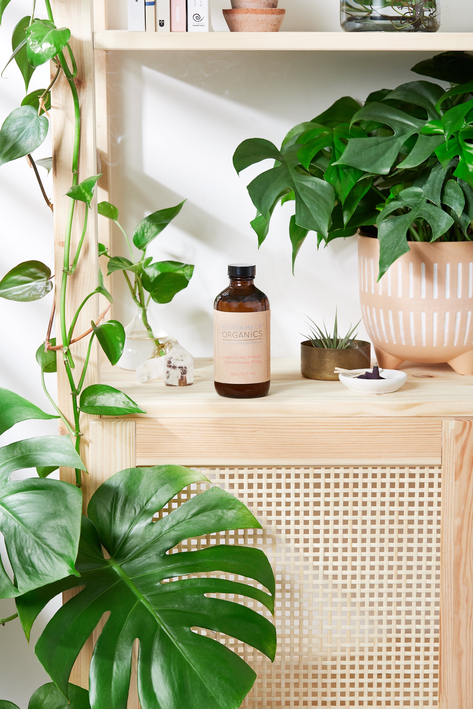 apple cider vinegar for indoor plants Apple Cider Vinegar Conditioning Rinse / Hair Rinse / Organic Conditioner / Herbal Hair Rinse / No Poo / Vinegar Rinse