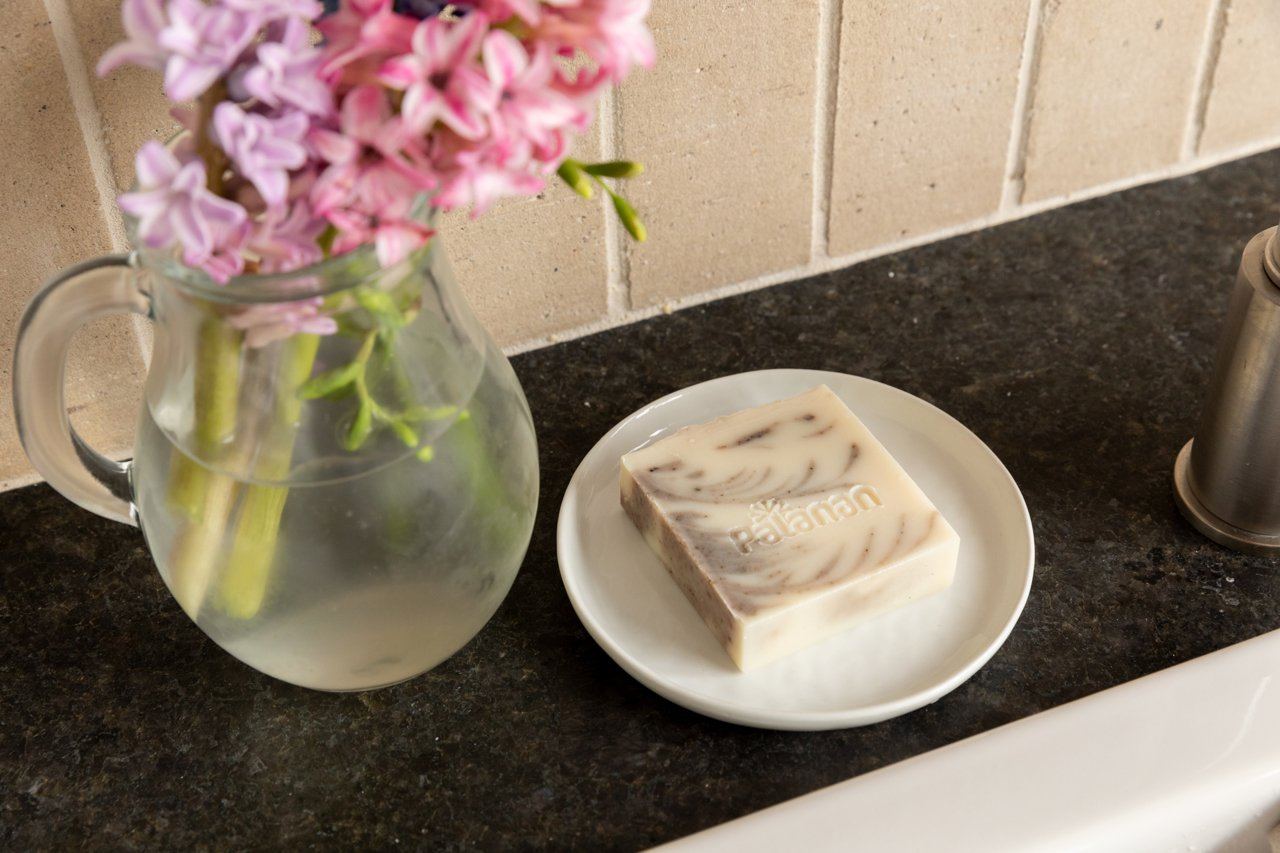 Dish Soap Bar (Tea Tree Oil) – SWOP - shop without plastic
