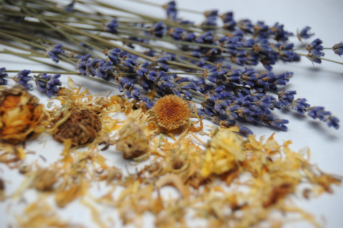 Lavender Botanical Wax Sachet