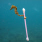 Regular Cotton Swabs have a terrible Impact on Nature- SWOP - shop without plastic