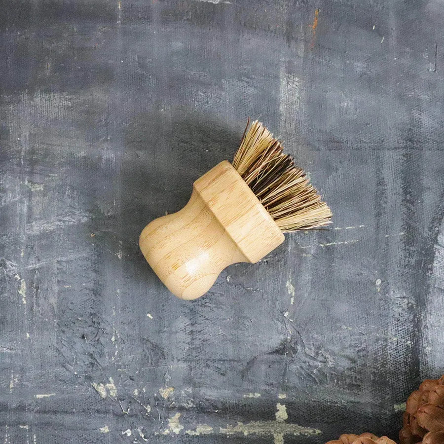 Zero Waste Dish Soap Set - Hand Brush Kit - SWOP - shop without plastic